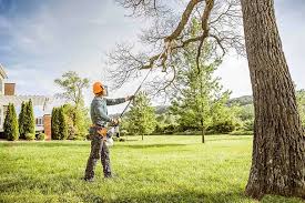 Leaf Removal in West Pensacola, FL